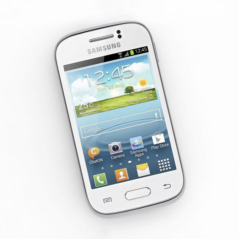 Samsung Galaxy Young (S6310)
